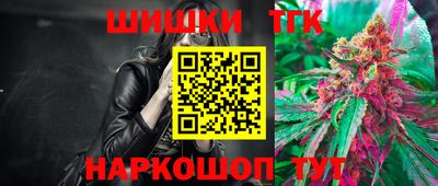 СК Дубна