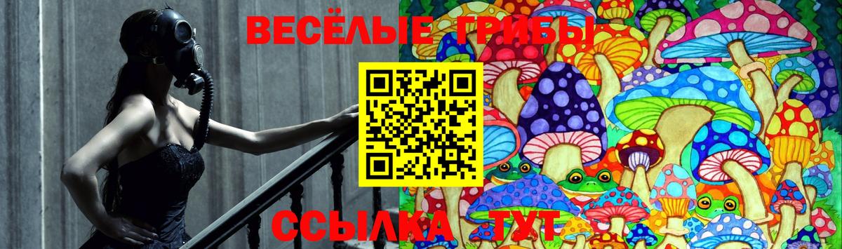 Галлюциногенные грибы ЛСД Будённовск