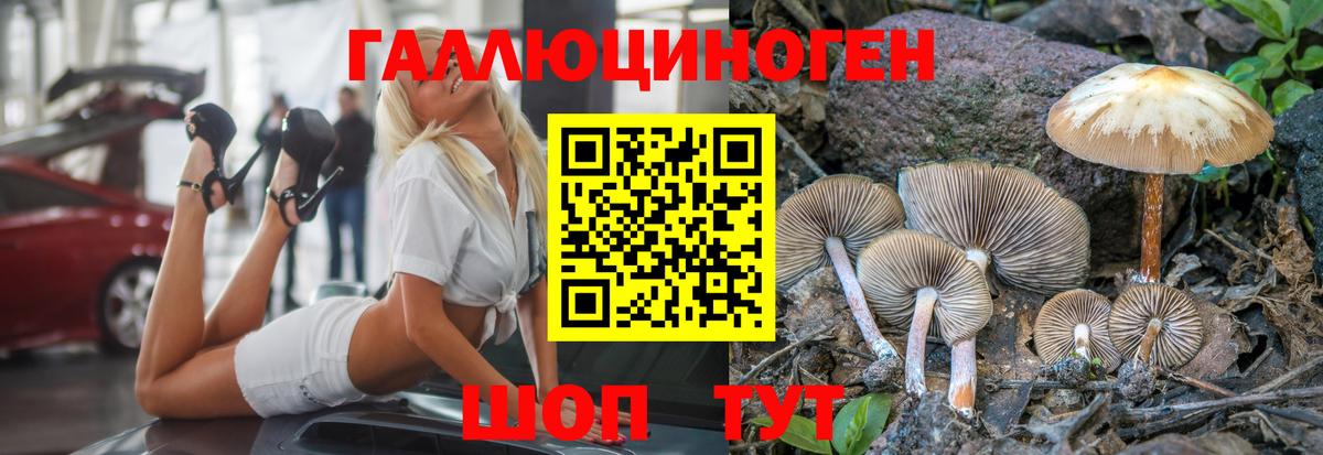 Будённовск  Псилоцибиновые грибы MAGIC MUSHROOMS  Вход с VPN  Галлюциногенные грибы мухоморы 